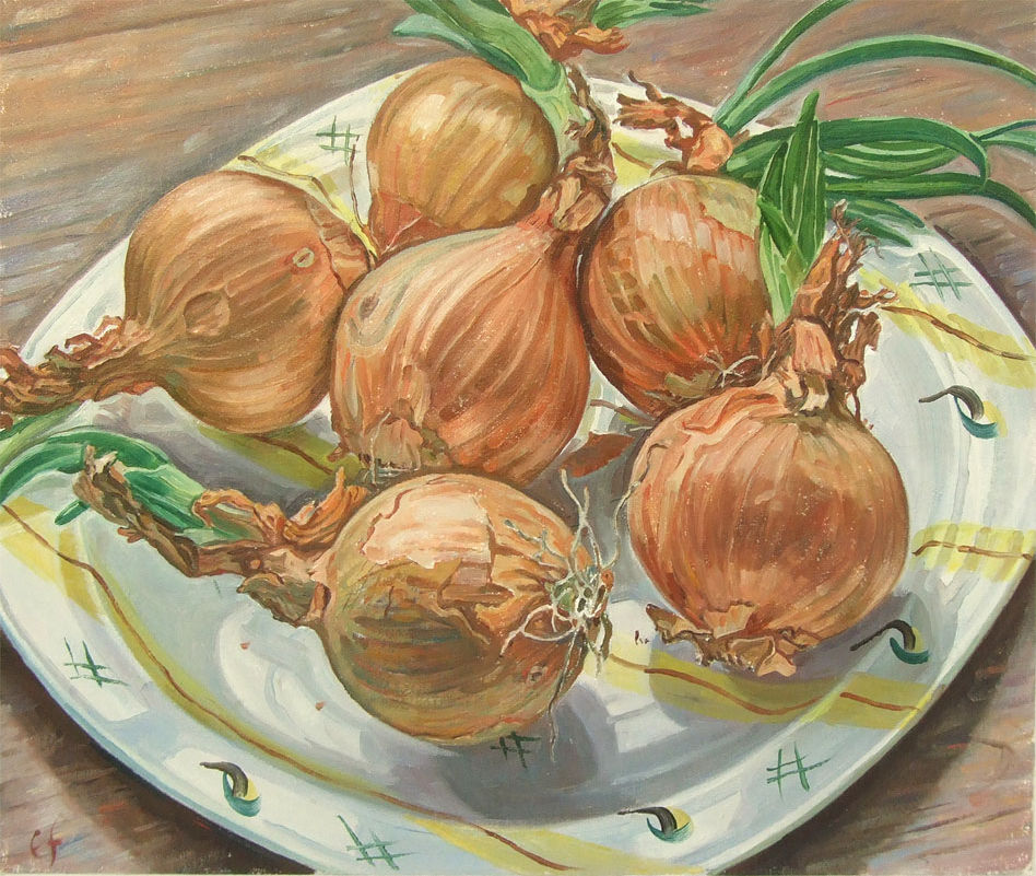 Sprouting onions on midwinter plate