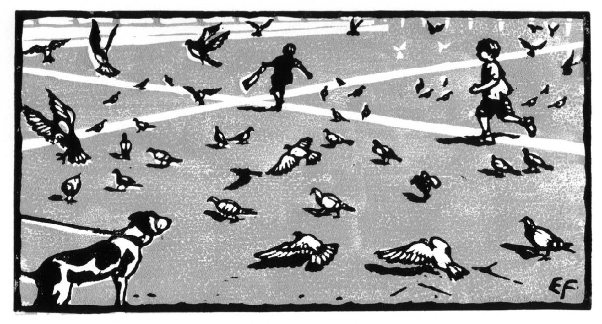 Chasing pigeons, Pisa