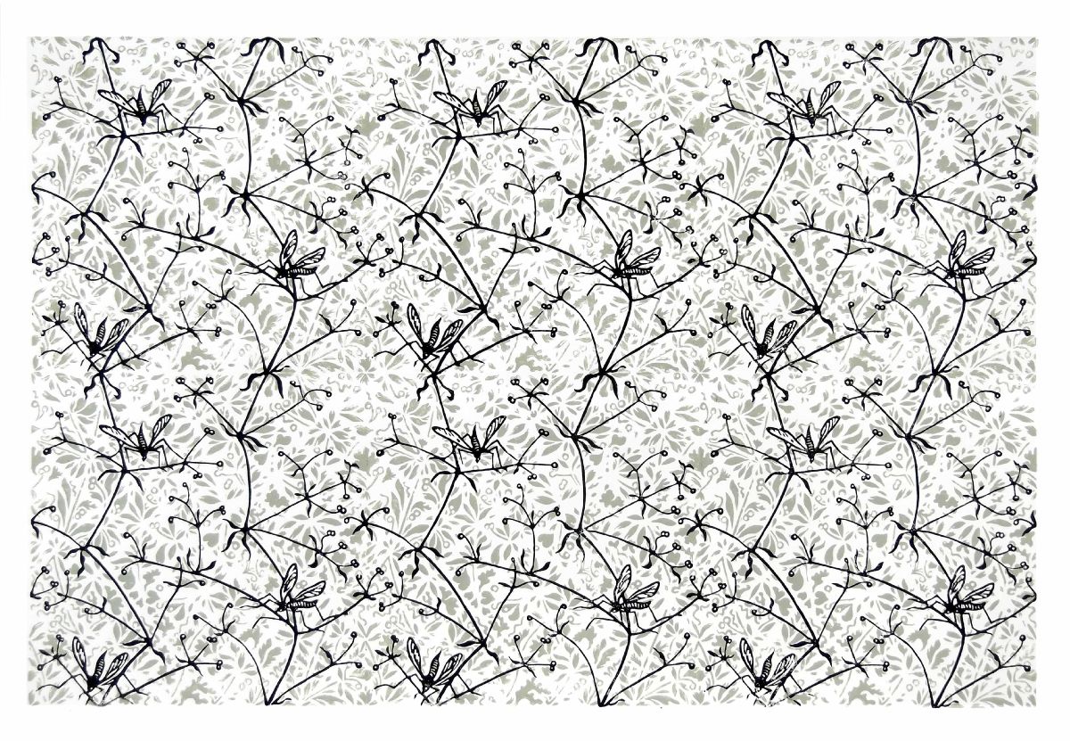 Daddylonglegs and Cleavers  Grey and Black