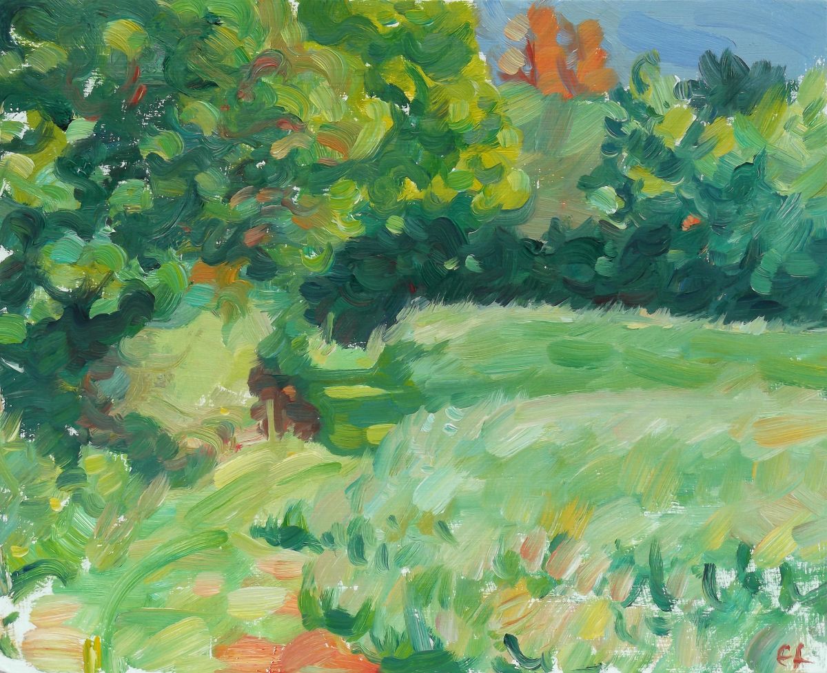 Field edge, early summer