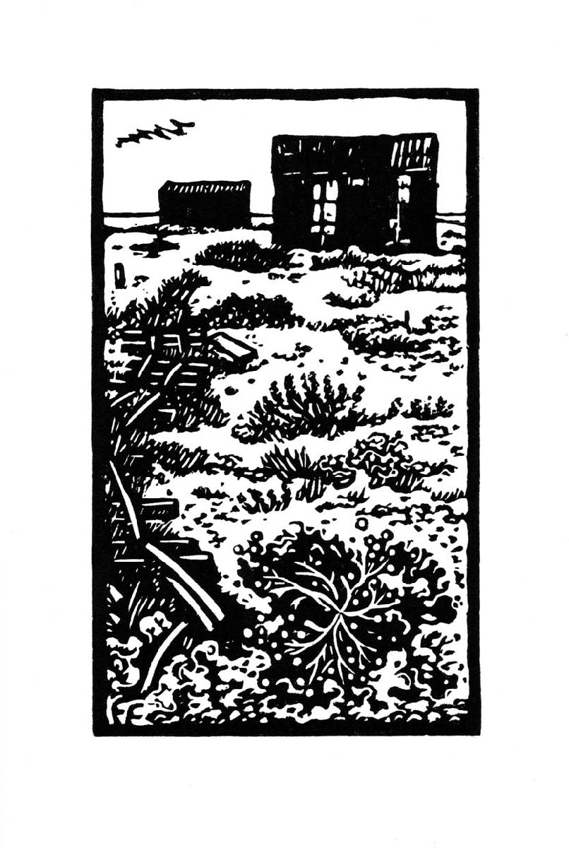 Dungeness